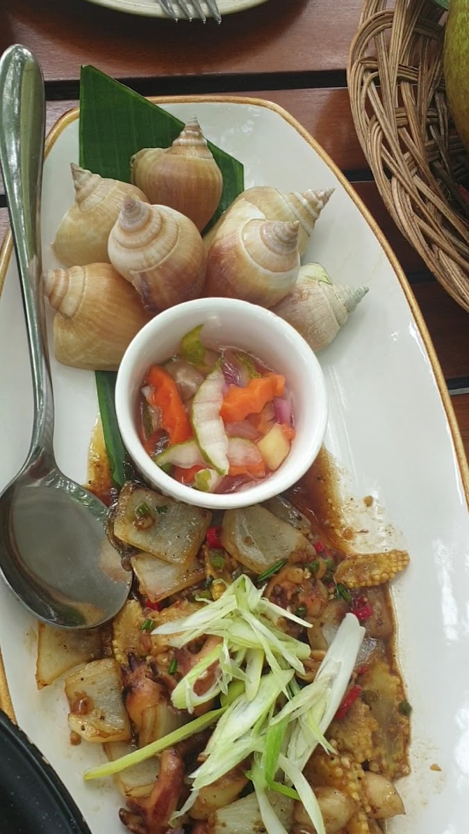 The Manabu Bintan Photo 2