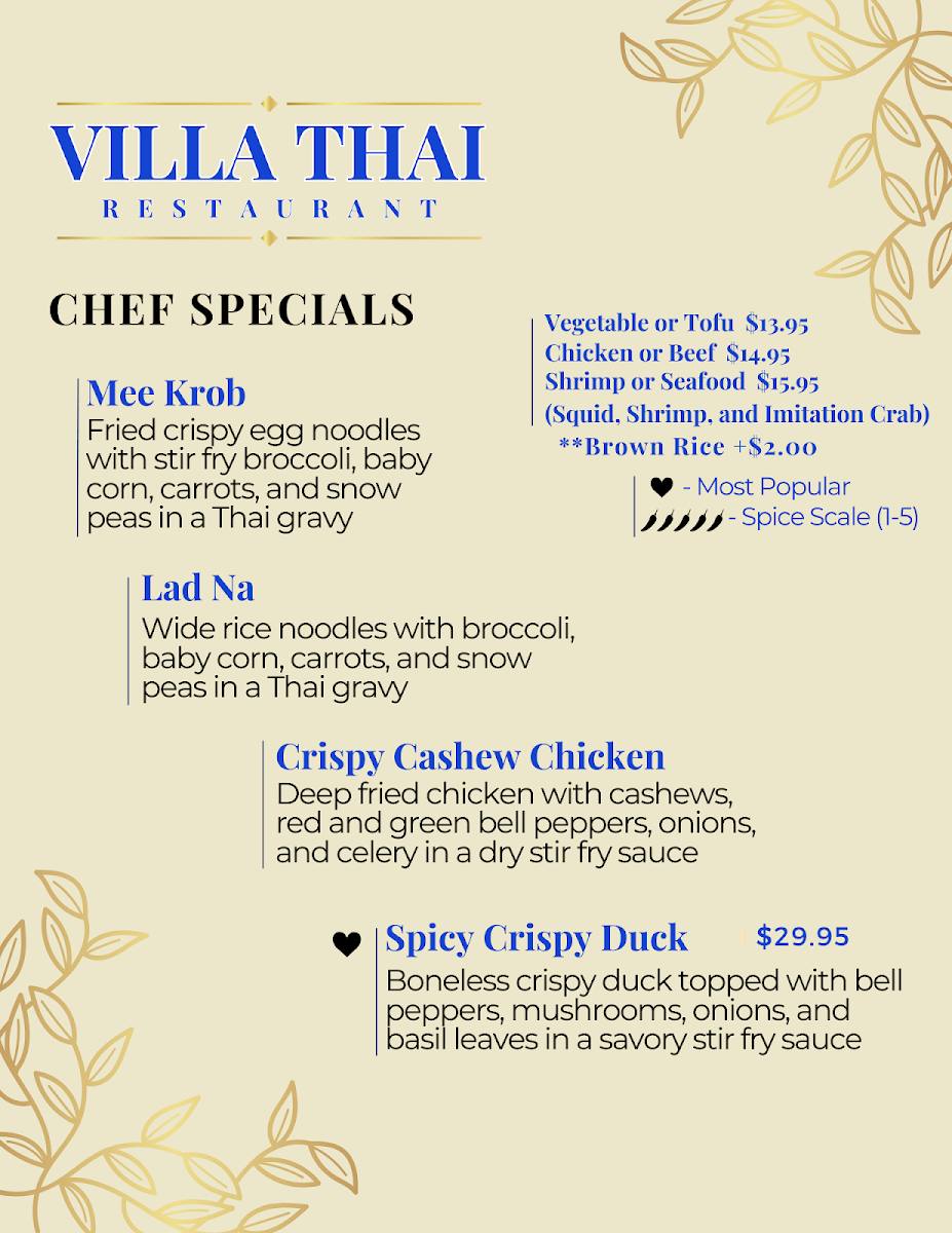 Villa Thai Photo Menu 2
