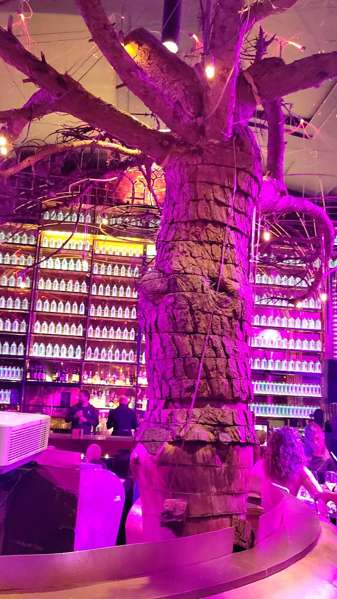 Ambasciatori Club Restaurant Photo 2