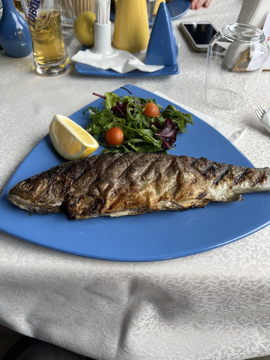 Restaurant Ecluza Photo 4
