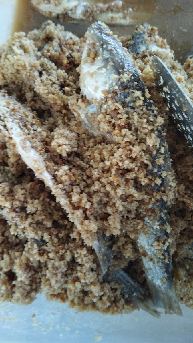 Ikan Pekasam Lenggong • Lia Photo 3
