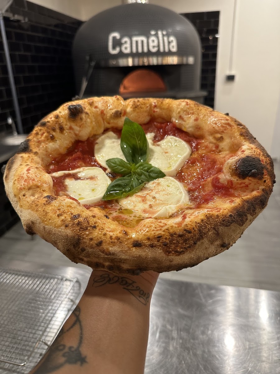 Camélia pizzeria contemporanea