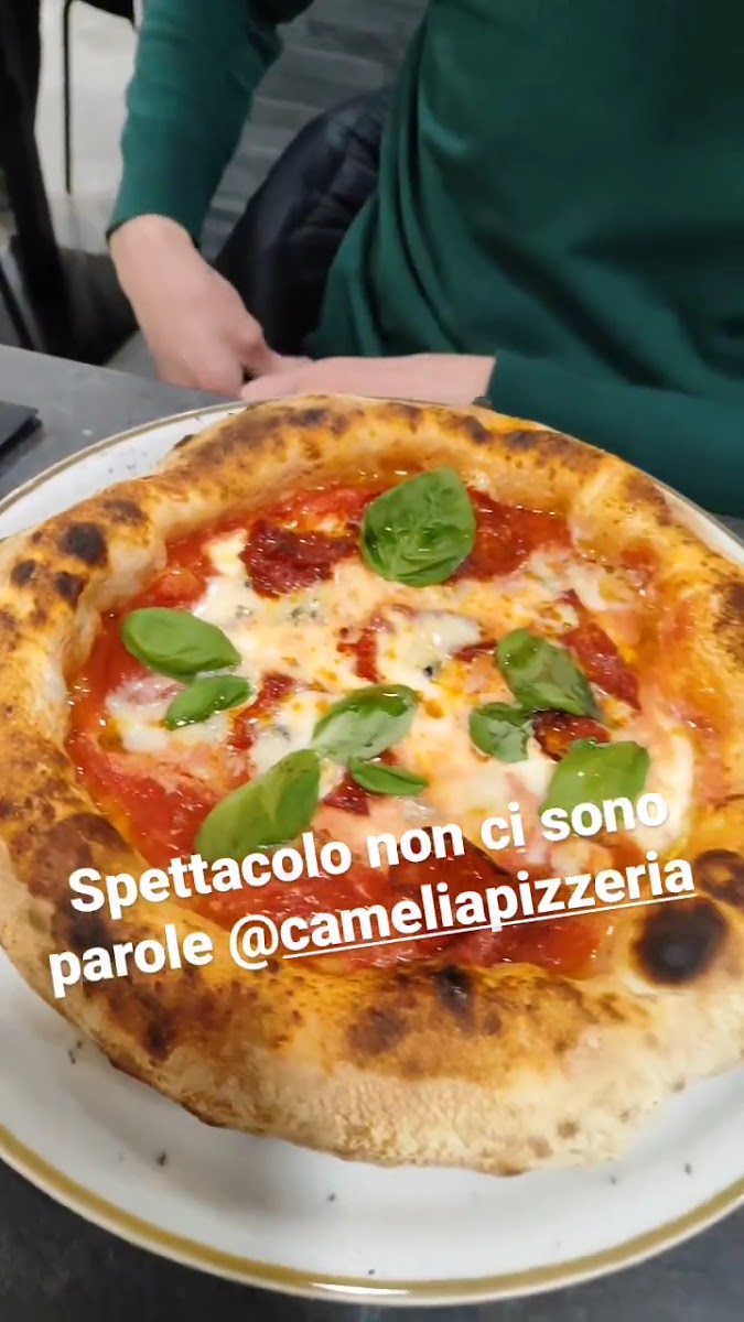 Camélia pizzeria contemporanea Photo 2