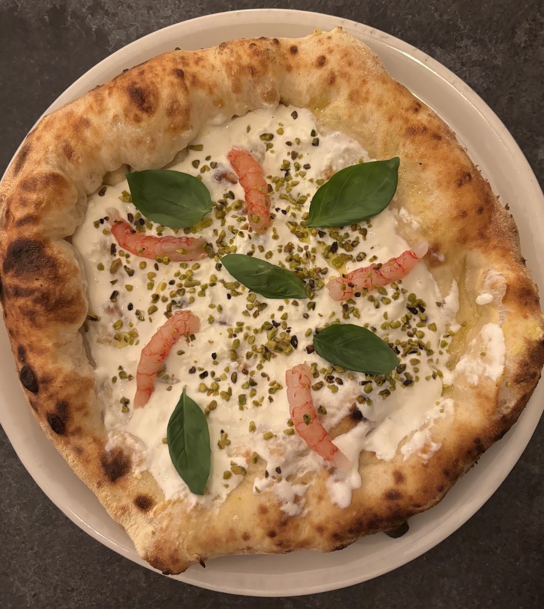 Camélia pizzeria contemporanea Photo 3