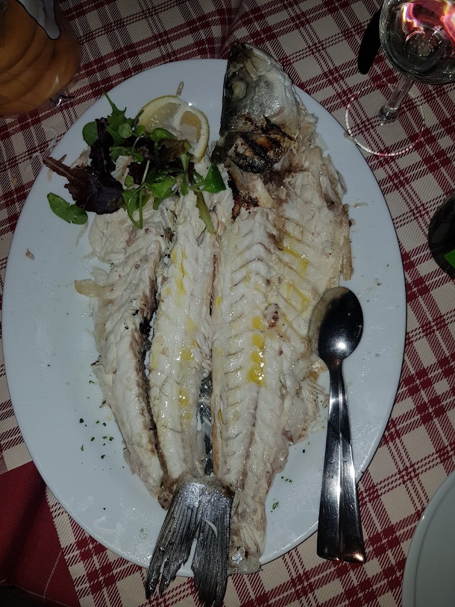 Osteria Pancin Photo 10