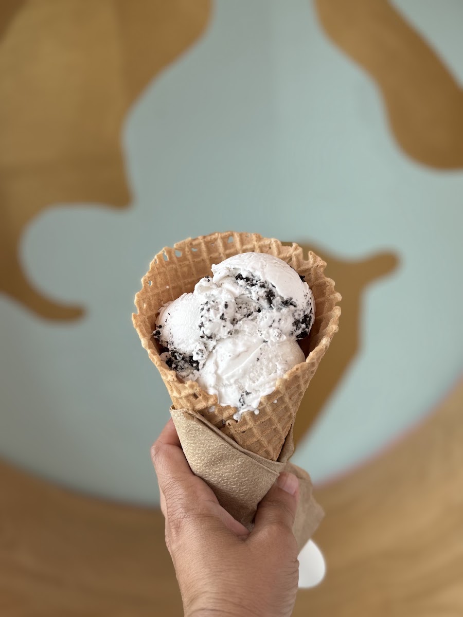 Wandering Cone Creamery Photo 6