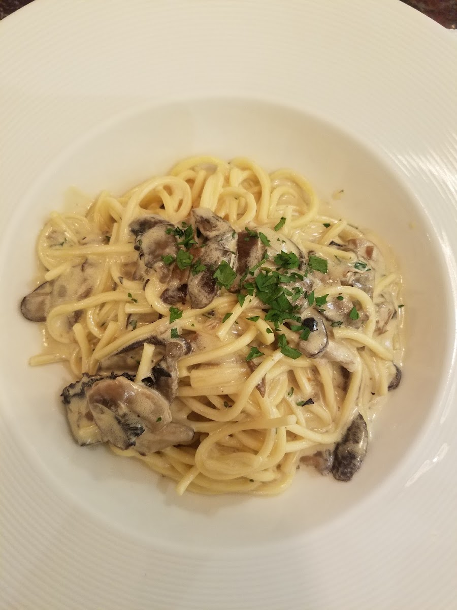 Corso Italia HK Photo 5