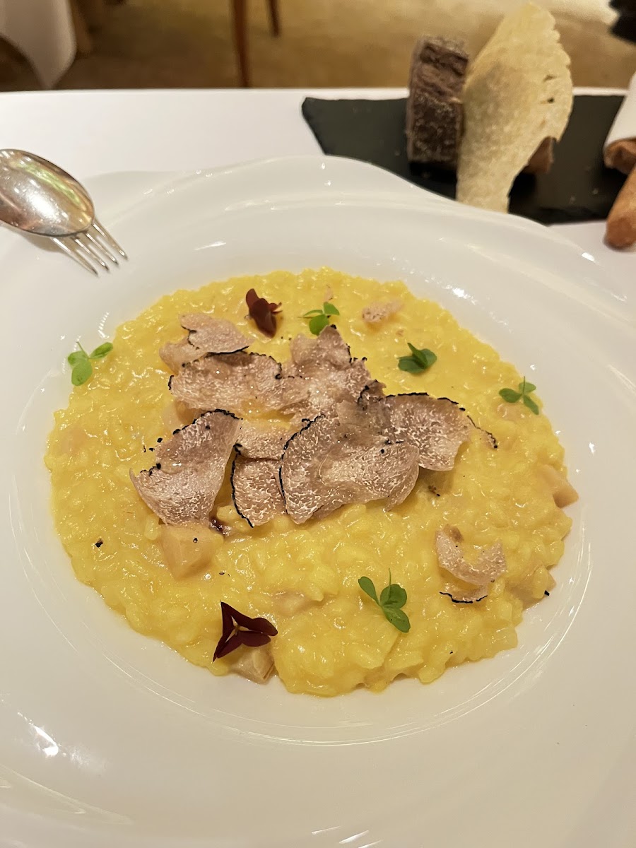Corso Italia HK Photo 8