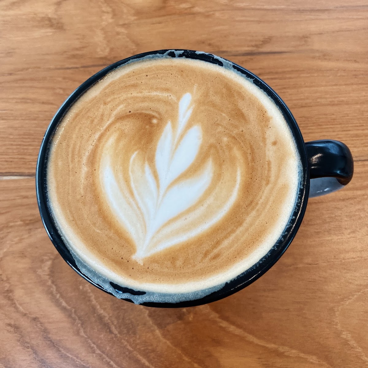 VERTE Café Photo 9