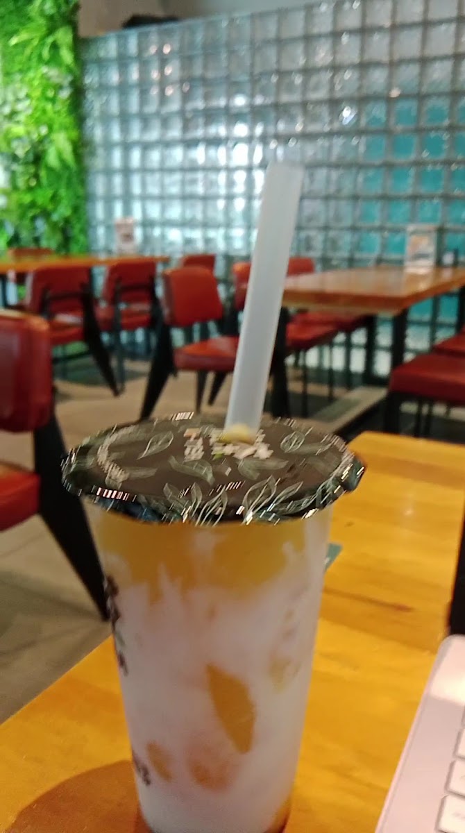 U-Tea T1 Bundusan Photo 2