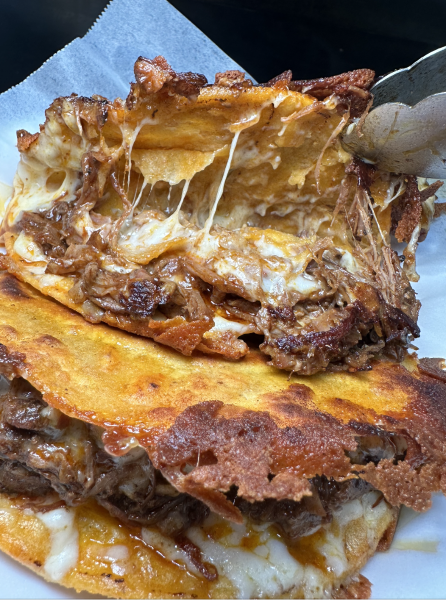 El Cuatrero Tacos Photo 10