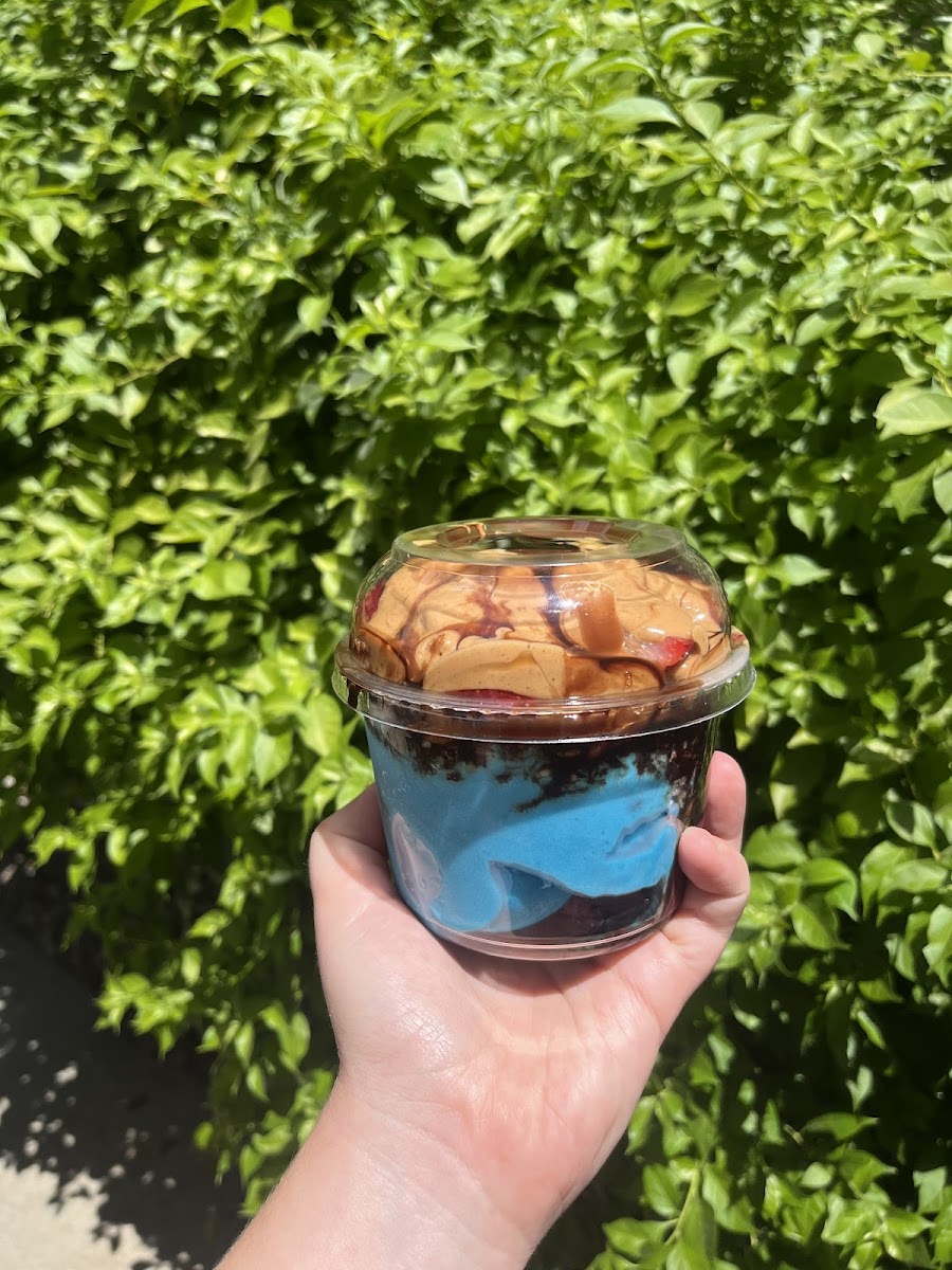 Acai Sun Fit Life Photo 7
