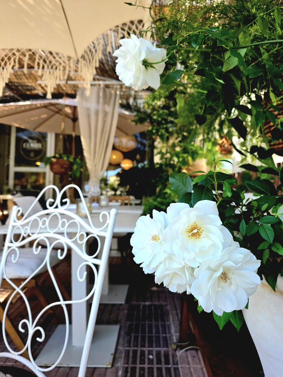 Just Curry Photo 5
