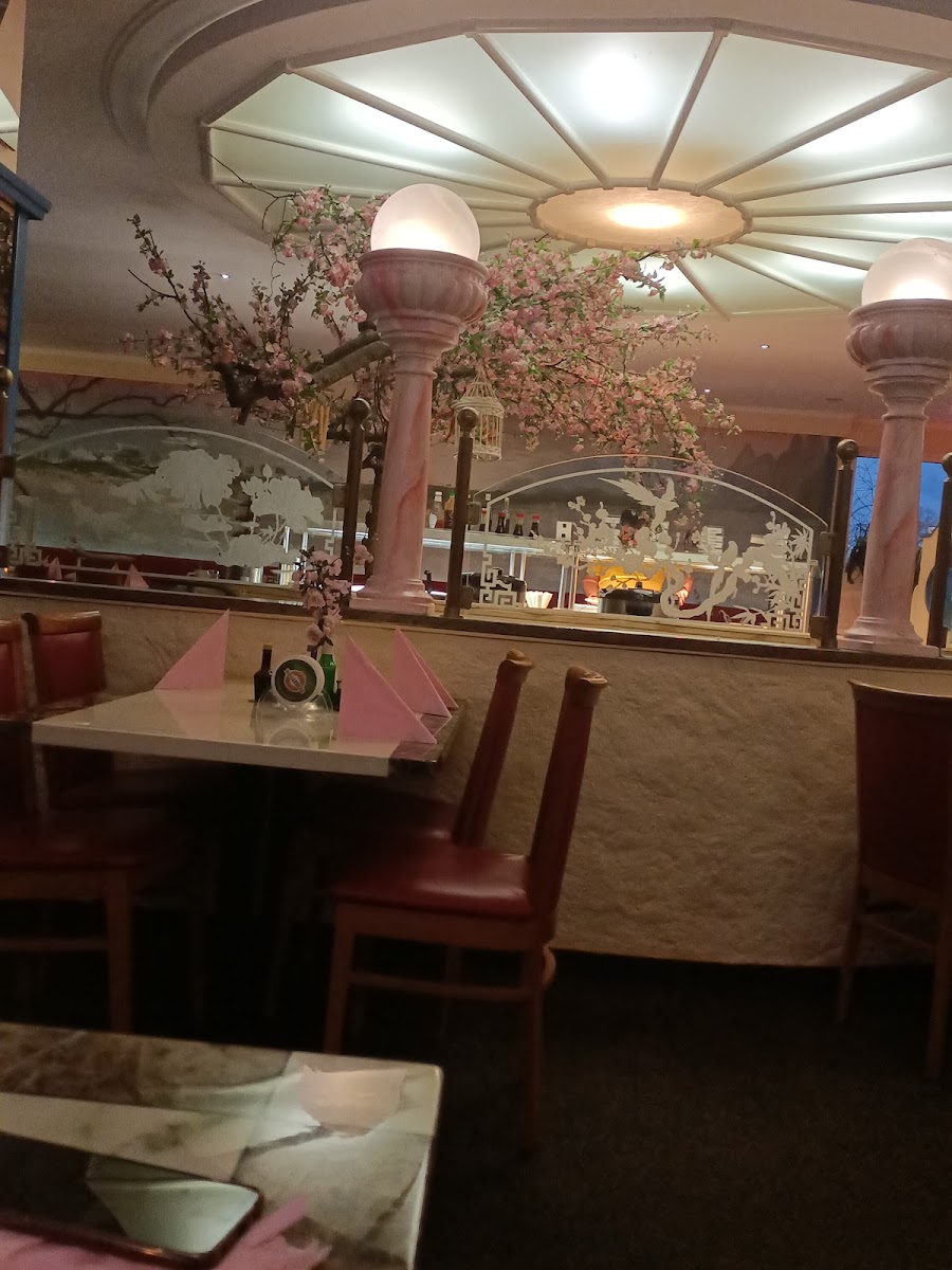 Golden Panda Neuötting Chinarestaurant Photo 4