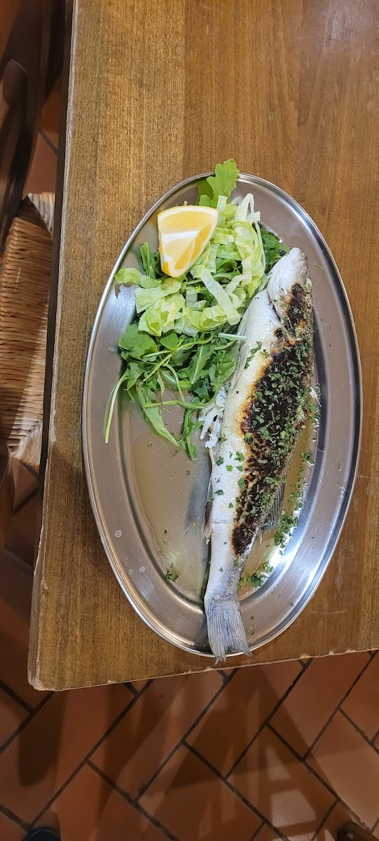 Trattoria Lungaretta Photo 8