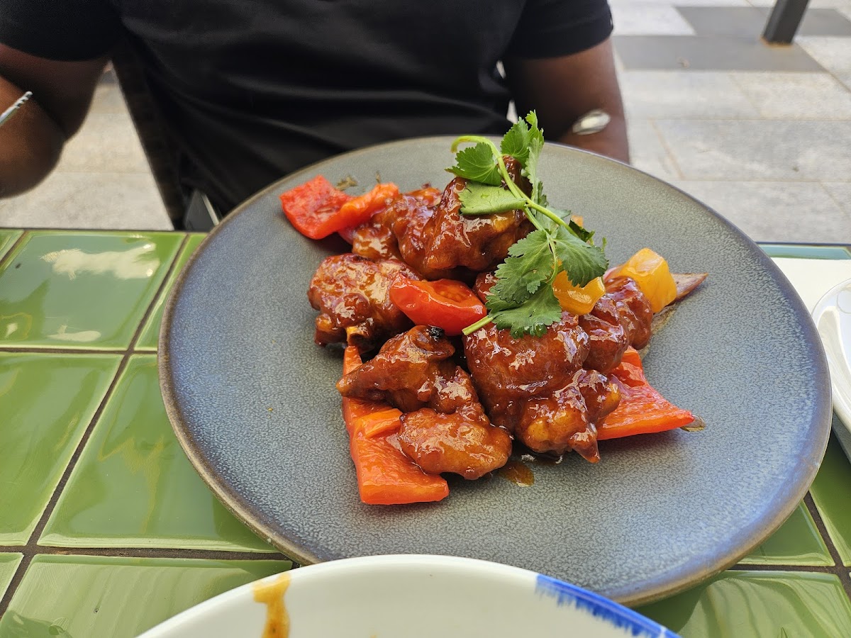Chef Lagenda Aintree Photo 6