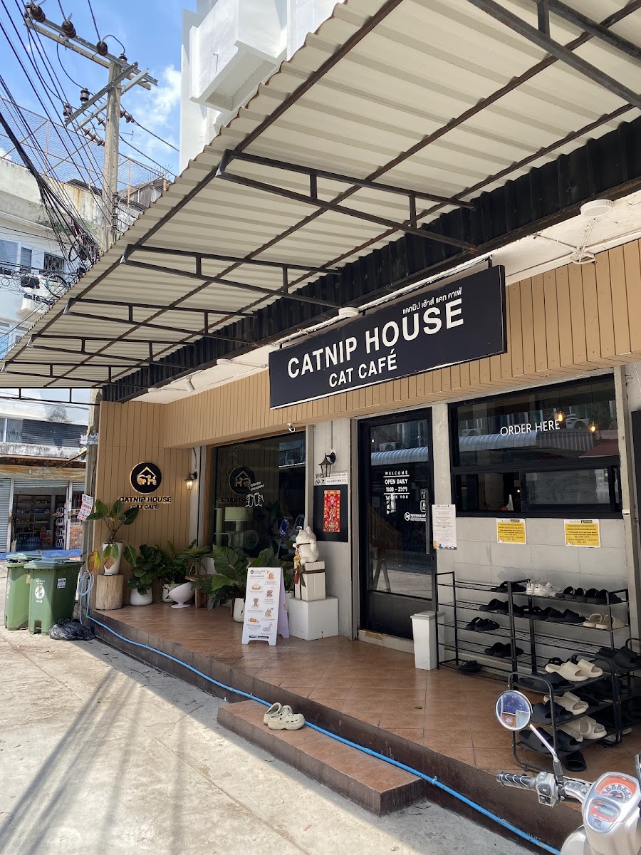 CATNIP HOUSE