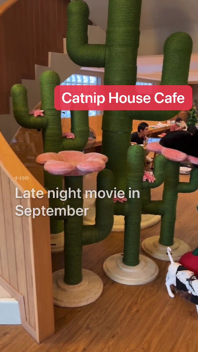 CATNIP HOUSE Photo 2