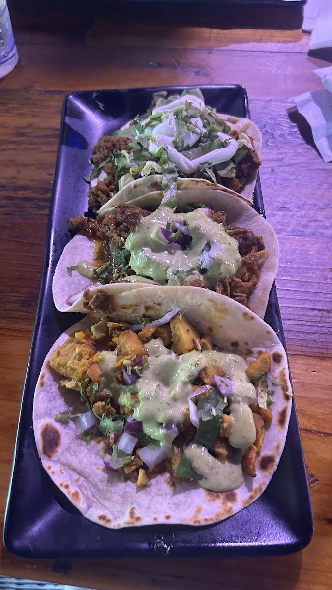 Bandoleros Tacos and Tequila Garden Photo 4