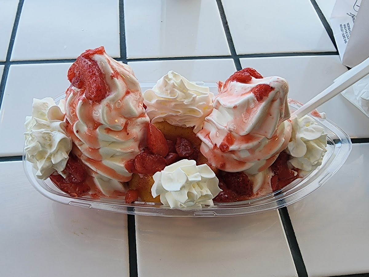 Fresh Freeze Photo 2