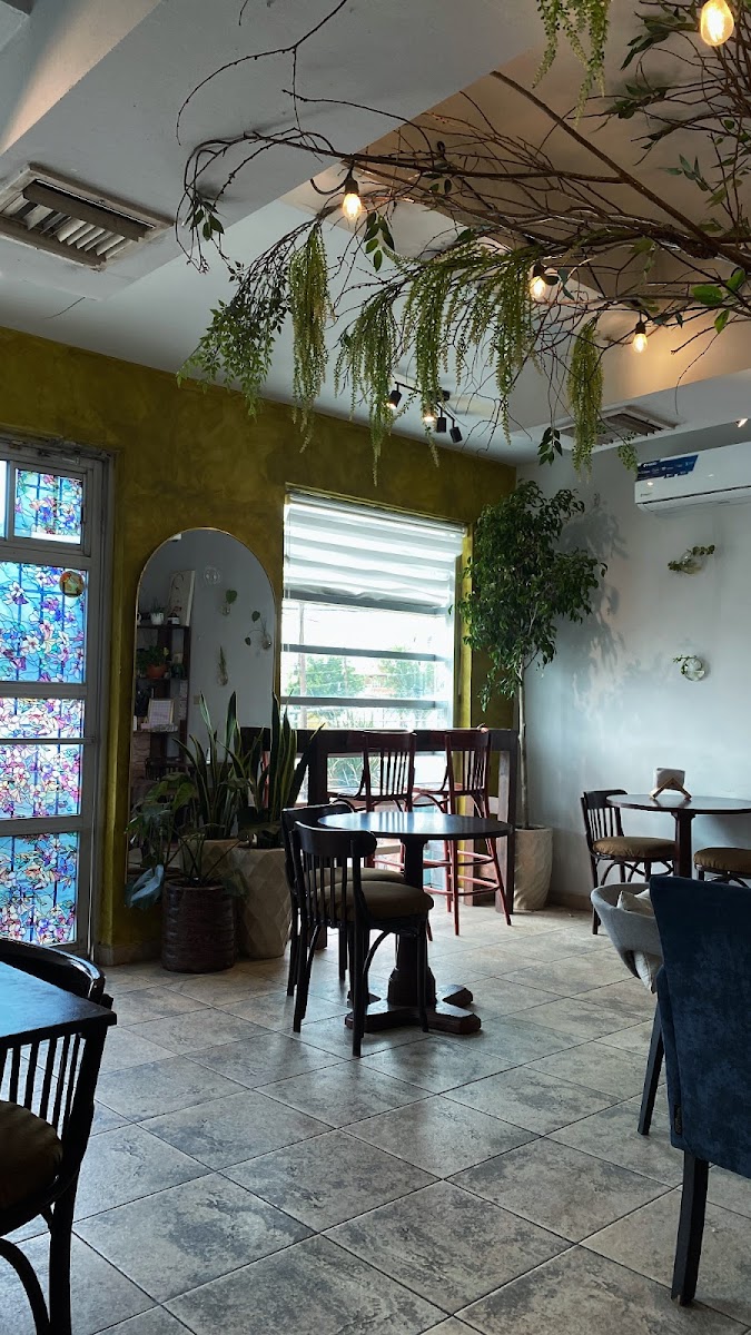 Suculenta Lunch/Cafe Photo 3