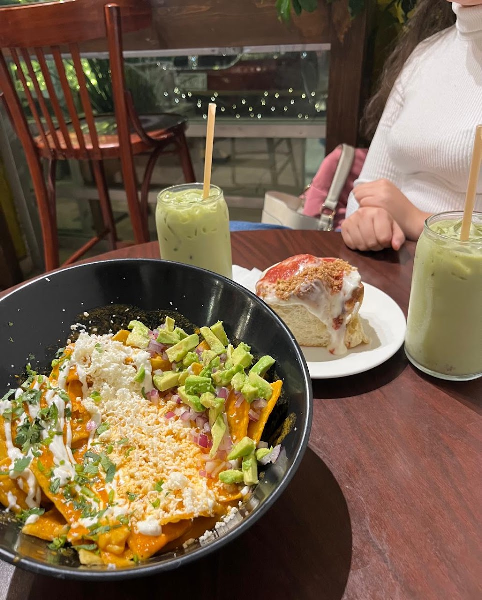 Suculenta Lunch/Cafe Photo 7