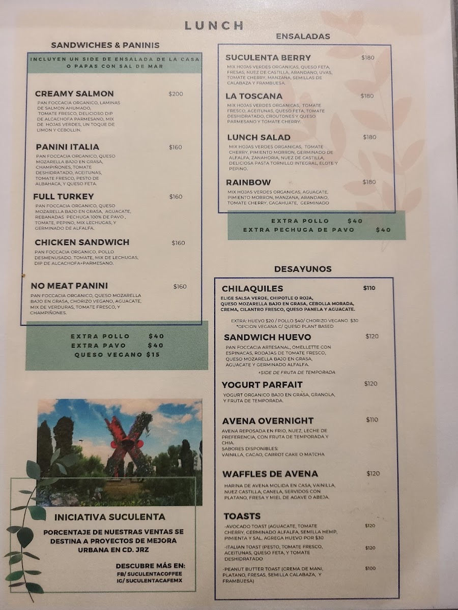 Suculenta Lunch/Cafe Photo Menu 1