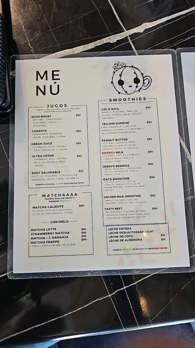 Suculenta Lunch/Cafe Photo Menu 3
