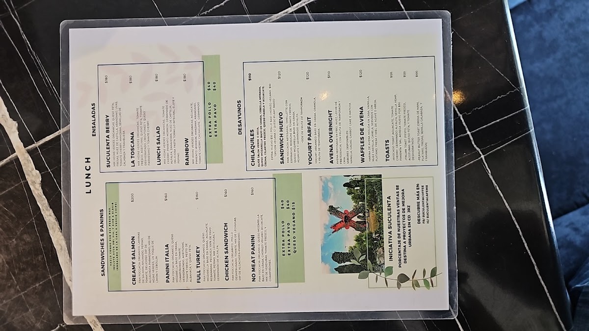 Suculenta Lunch/Cafe Photo Menu 7