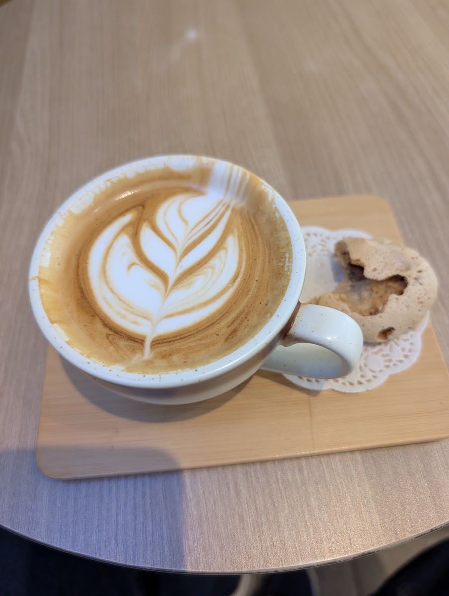 Hario Cafe Tokyo One Satrio Photo 4