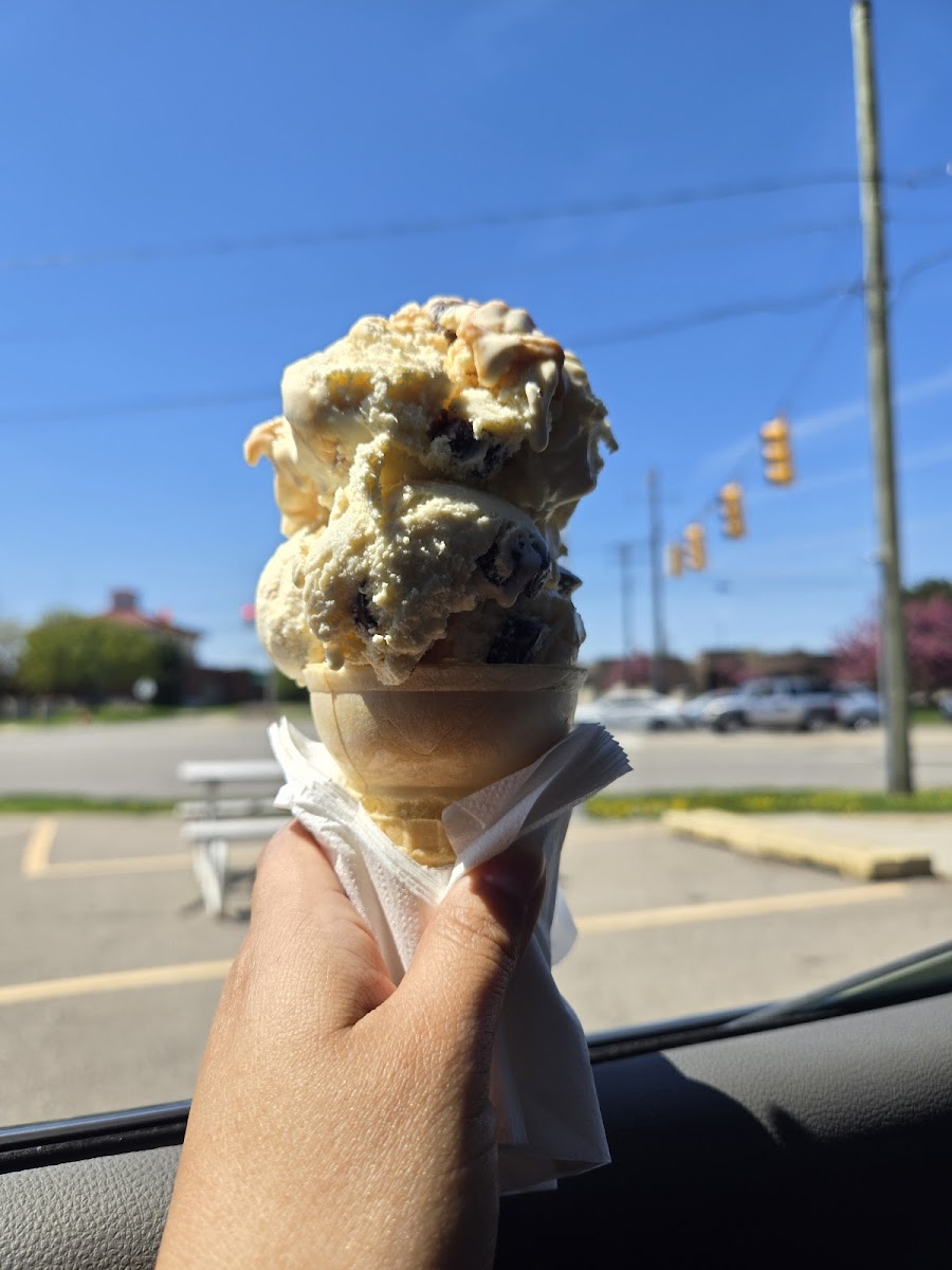 Fudgy’s Ice Cream Photo 2
