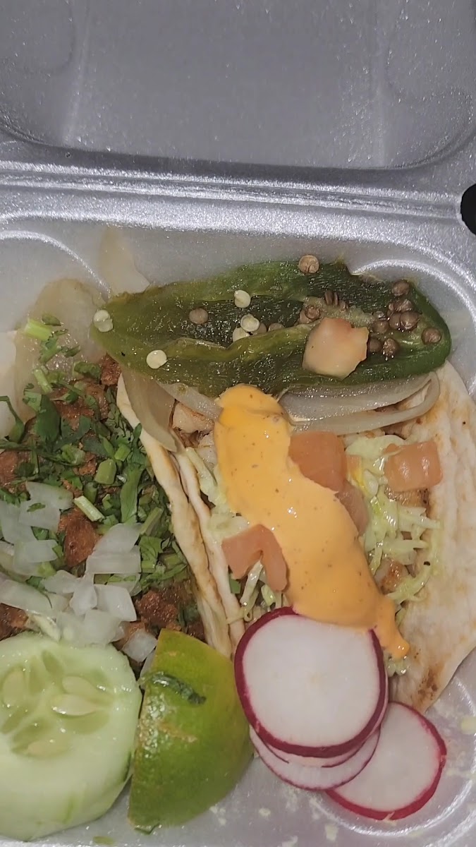 Taco Veloz Photo 2