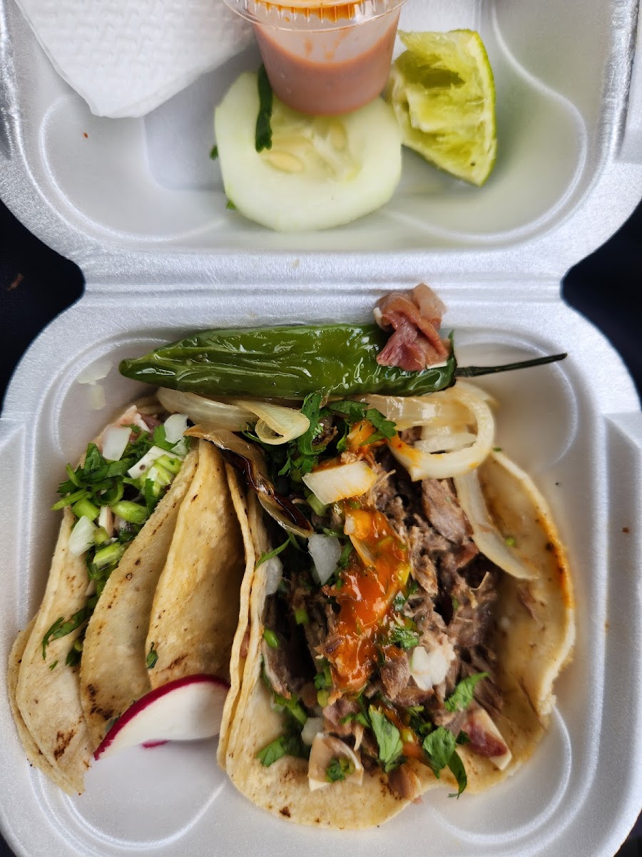 Taco Veloz Photo 5