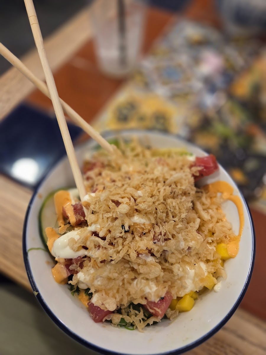 Koji Fusion Photo 5