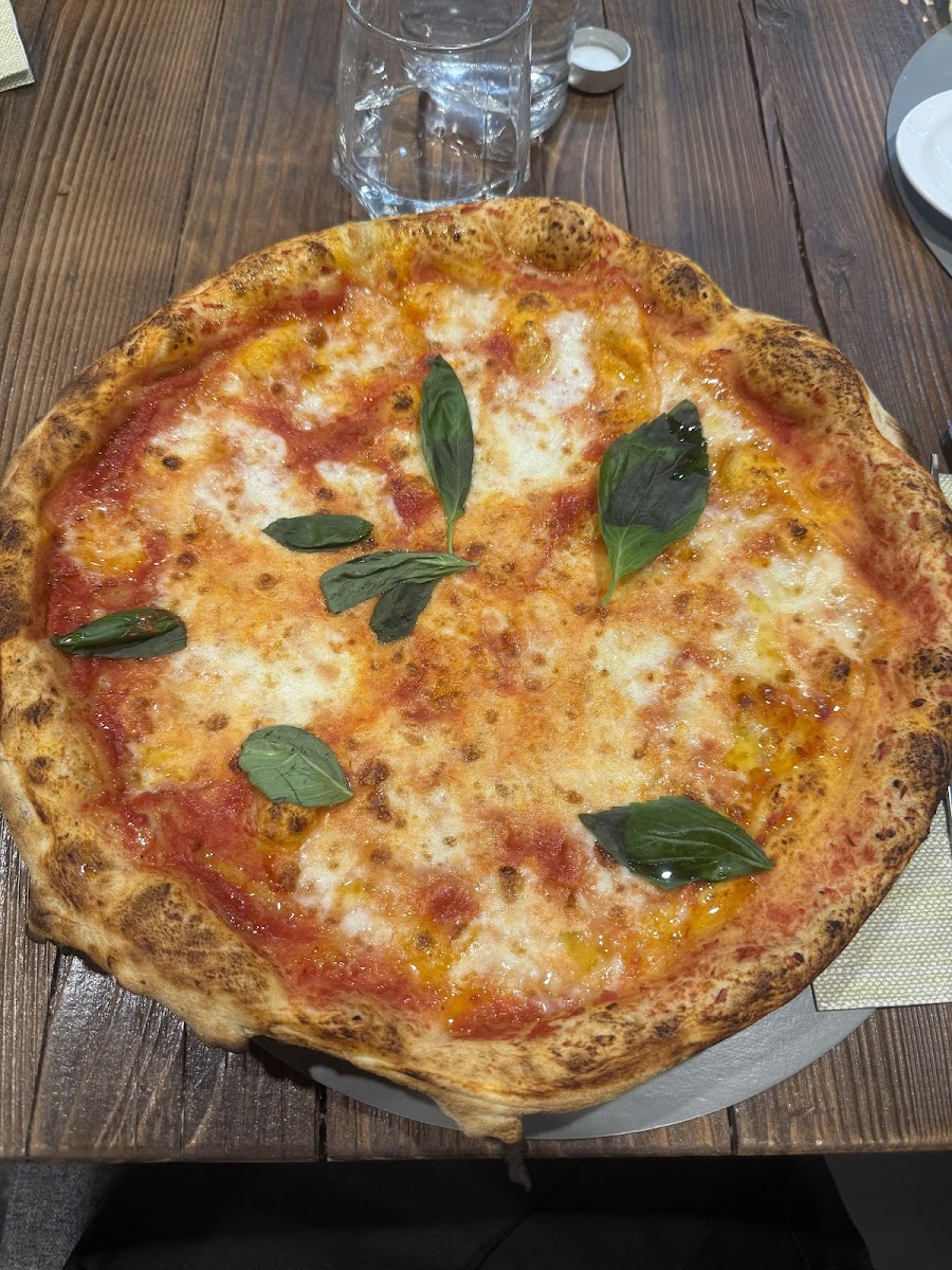 Quasi Margherita Photo 4