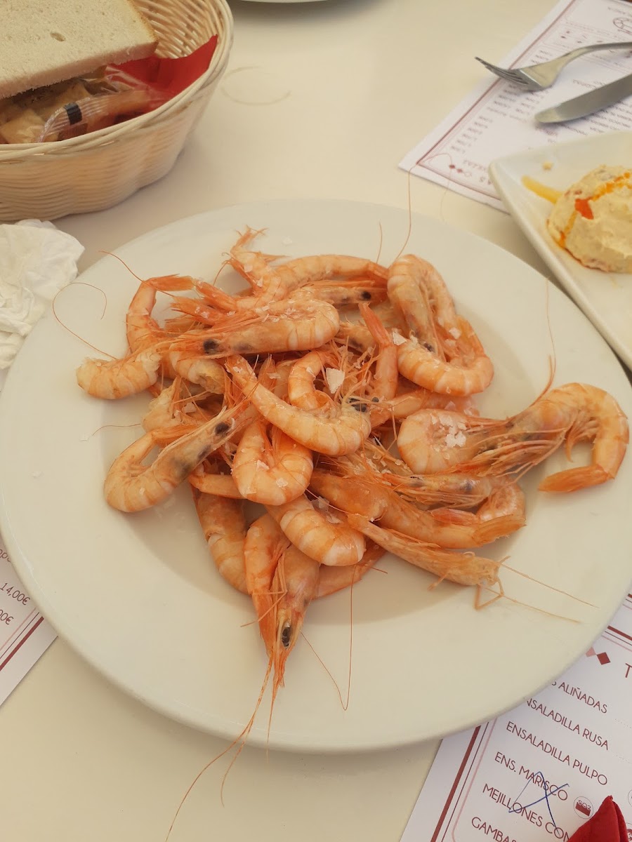 Bar La Gamba Blanca Photo 8
