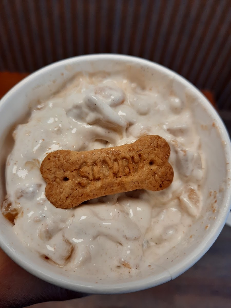 Scoopy Doo's Old Fashioned Ice Cream Photo 9