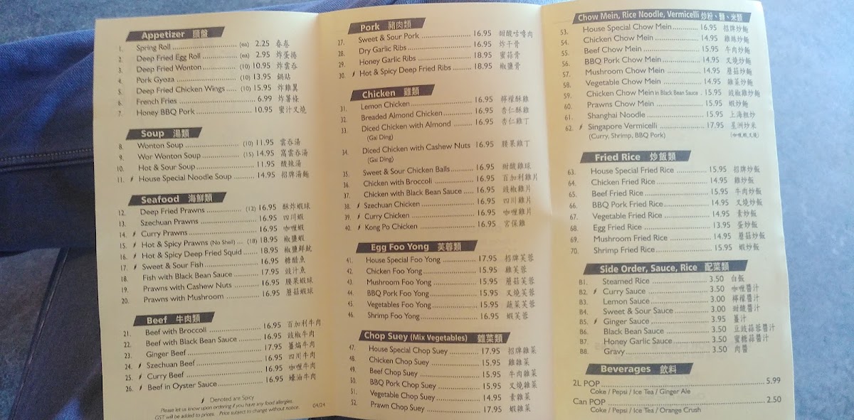 Northern Lights Chinese Cuisine Photo Menu 4