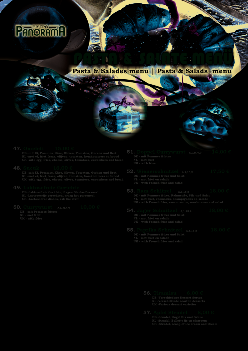 Bistro Panorama Photo Menu 4