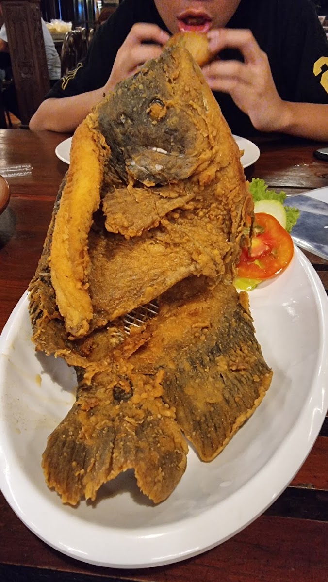 Rumah Makan Jati Photo 6