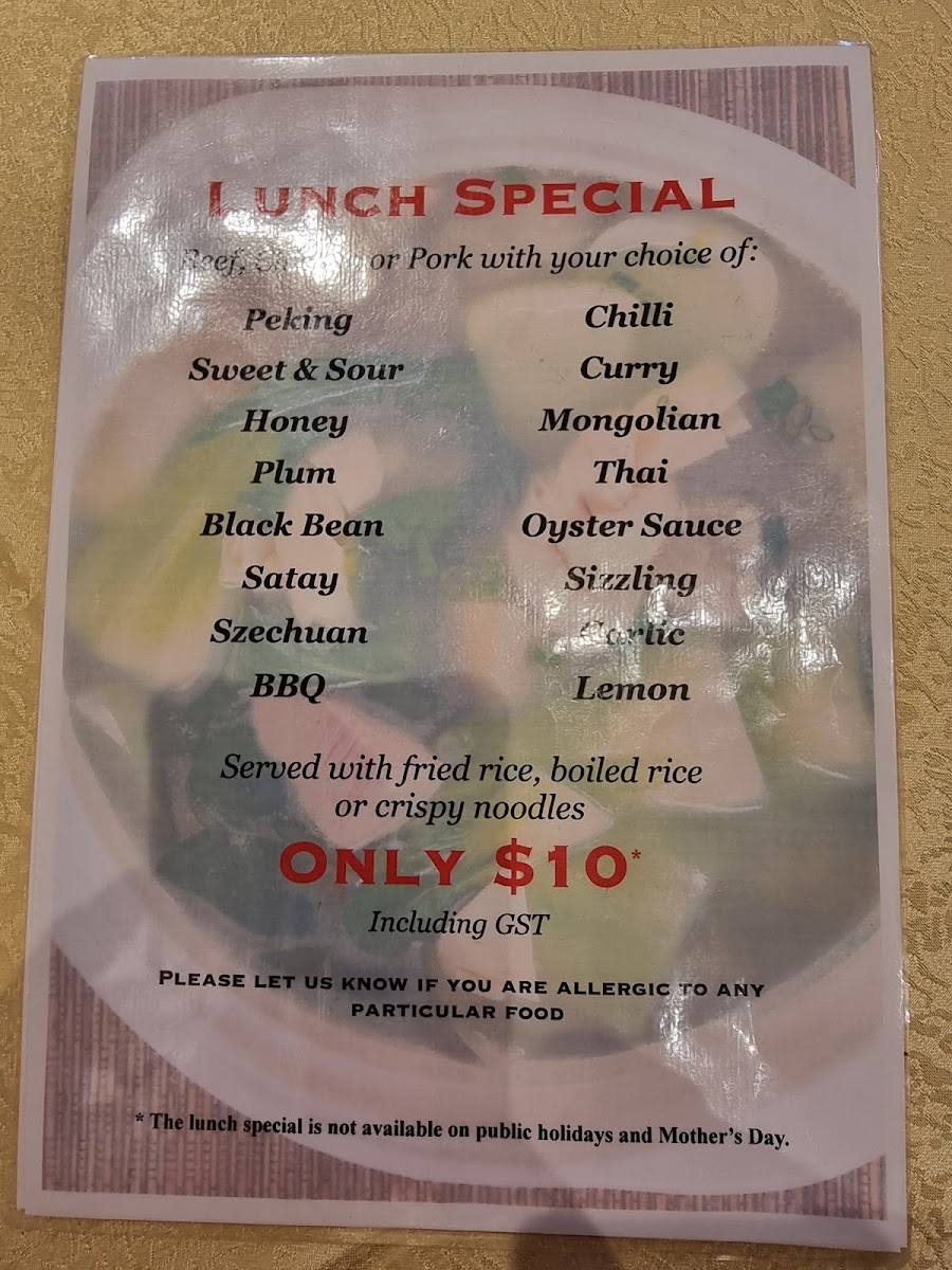 Panda Garden Chinese Restaurant Photo Menu 4
