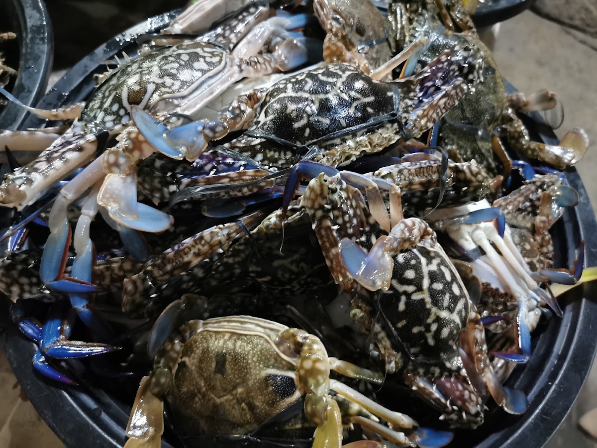 Co Jordan Talaba Farm and Fishing Photo 9