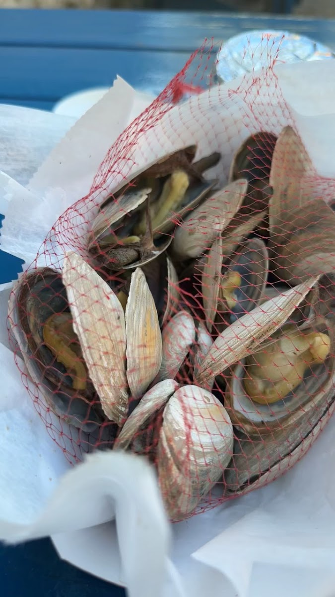 Clam Shack Photo 2