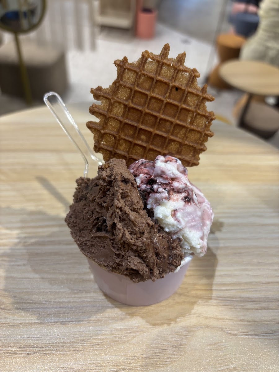 Siblings Gelato Photo 4