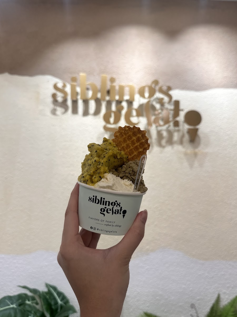 Siblings Gelato Photo 7