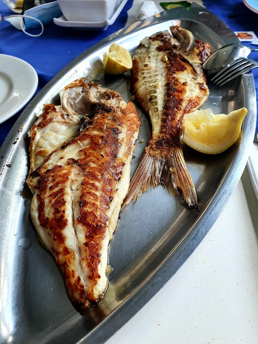 Restaurante Rincón del Marinero Photo 8