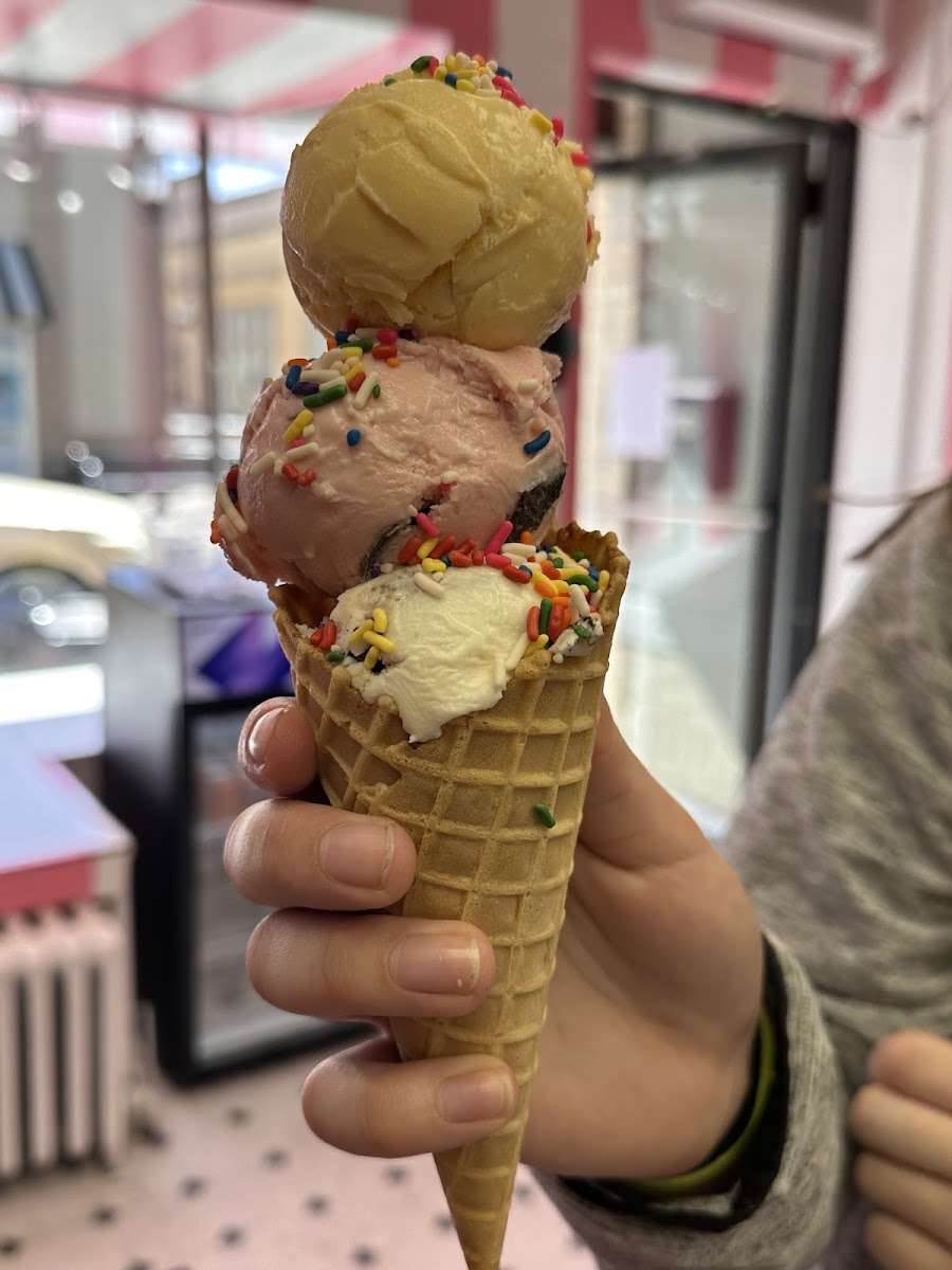 Grandma Jannah’s Ice Cream Parlor Photo 8