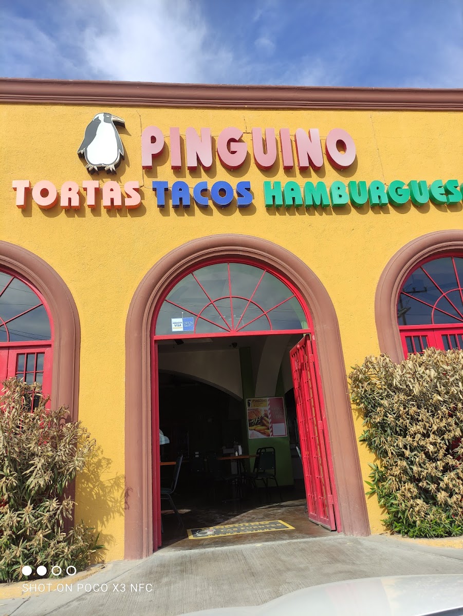 Pingüino Fuentes