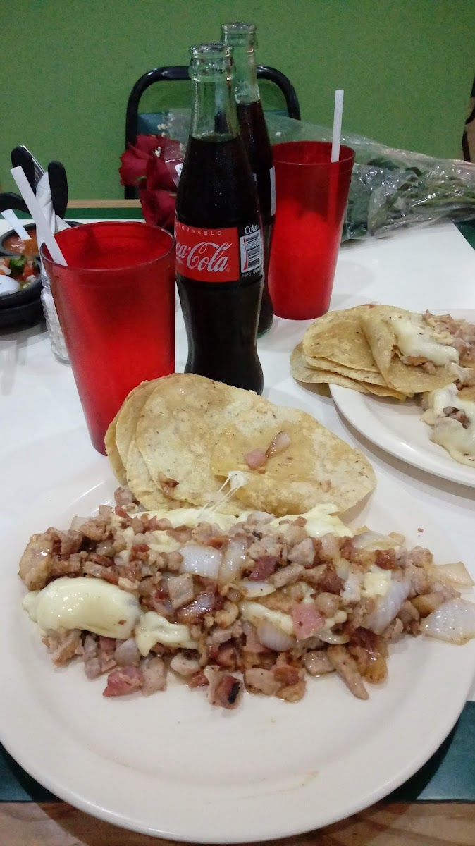 Pingüino Fuentes Photo 8