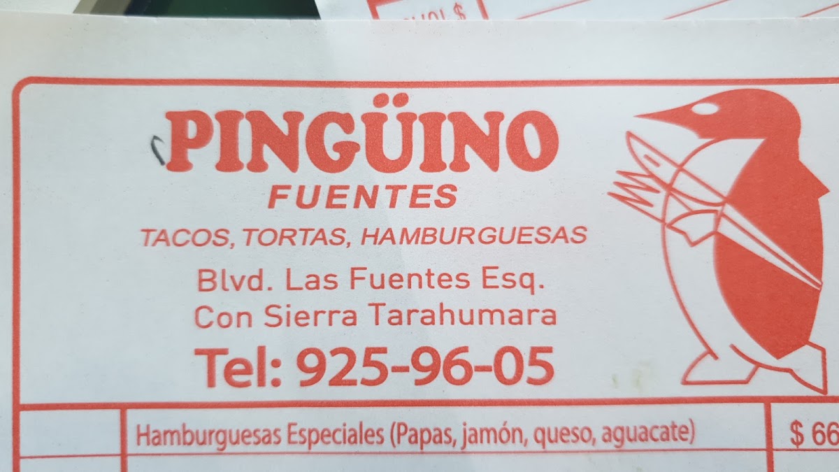 Pingüino Fuentes Photo Menu 3